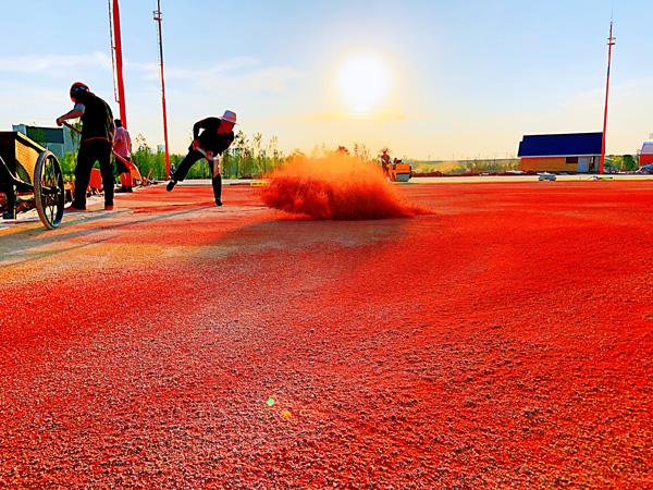 紅土網(wǎng)球場地有什么特點(diǎn)？應(yīng)該如何維護(hù)保養(yǎng)？